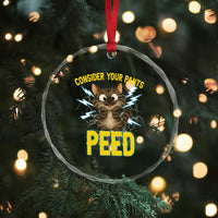 Funny Cat Lover Crystal Glass Ornament Consider Your Pants Peed Quote TS12