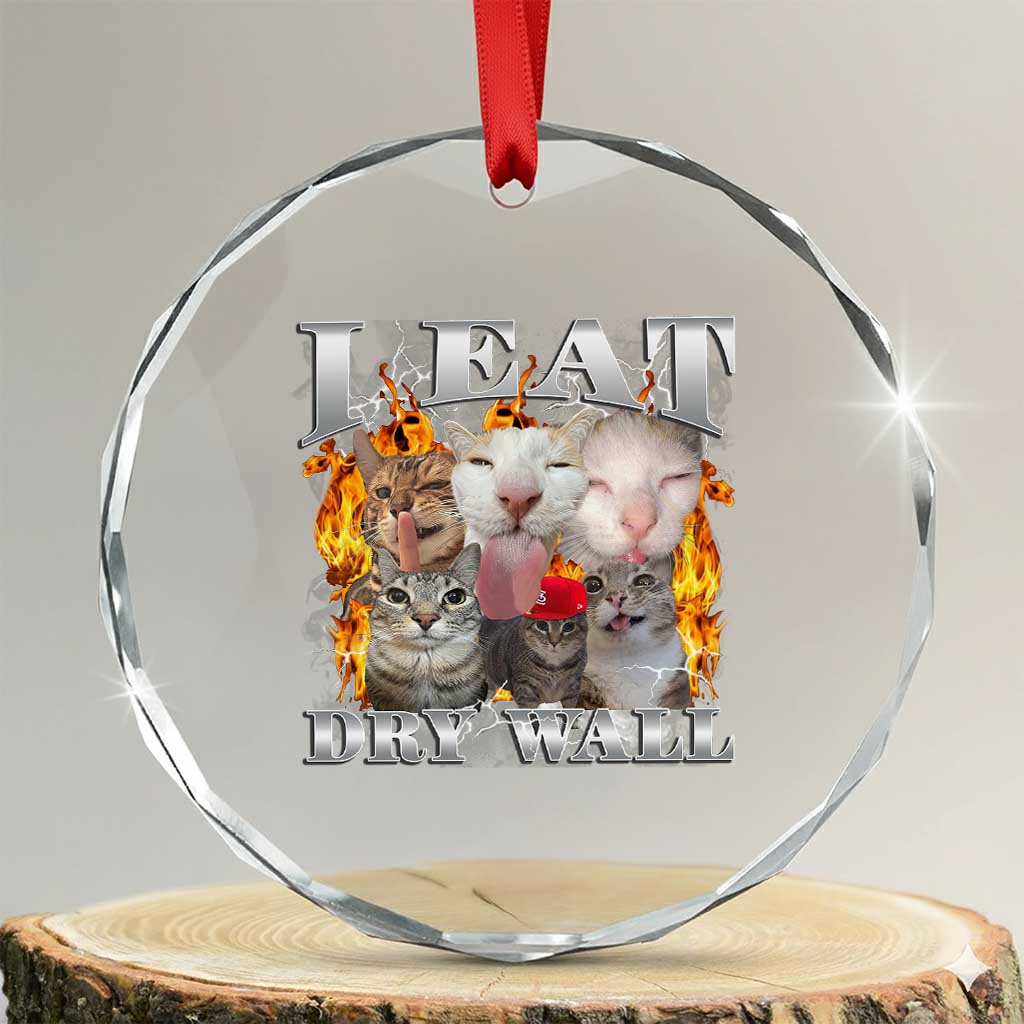Funny Cat Meme Bootleg Graphic Crystal Glass Ornament I Eat Drywall Funny Weird Cursed Internet Memes