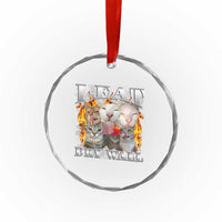 Funny Cat Meme Bootleg Graphic Crystal Glass Ornament I Eat Drywall Funny Weird Cursed Internet Memes