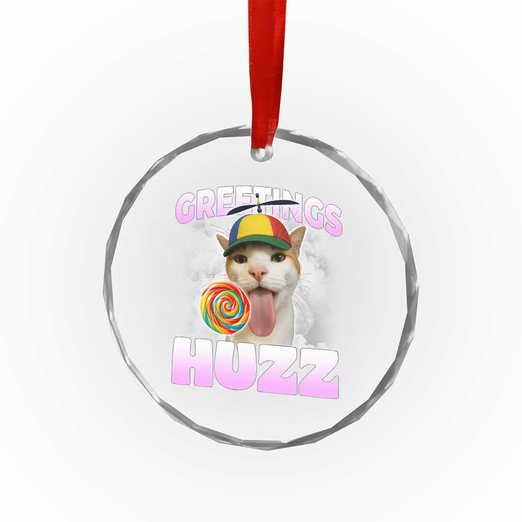 Funny Cat Meme Crystal Glass Ornament Greetings Huzz TS14