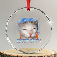 Funny Cat Meme Crystal Glass Ornament Ibuprofen Silly Kitten - Wonder Print Shop