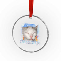 Funny Cat Meme Crystal Glass Ornament Ibuprofen Silly Kitten - Wonder Print Shop