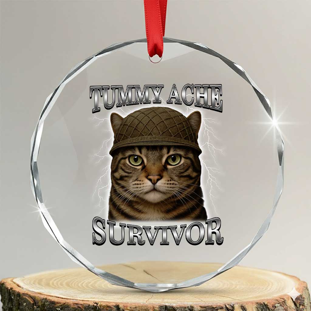 Funny Cat Meme Humor Crystal Glass Ornament Tummy Ache Survivor Lightning Cats Parody TS02