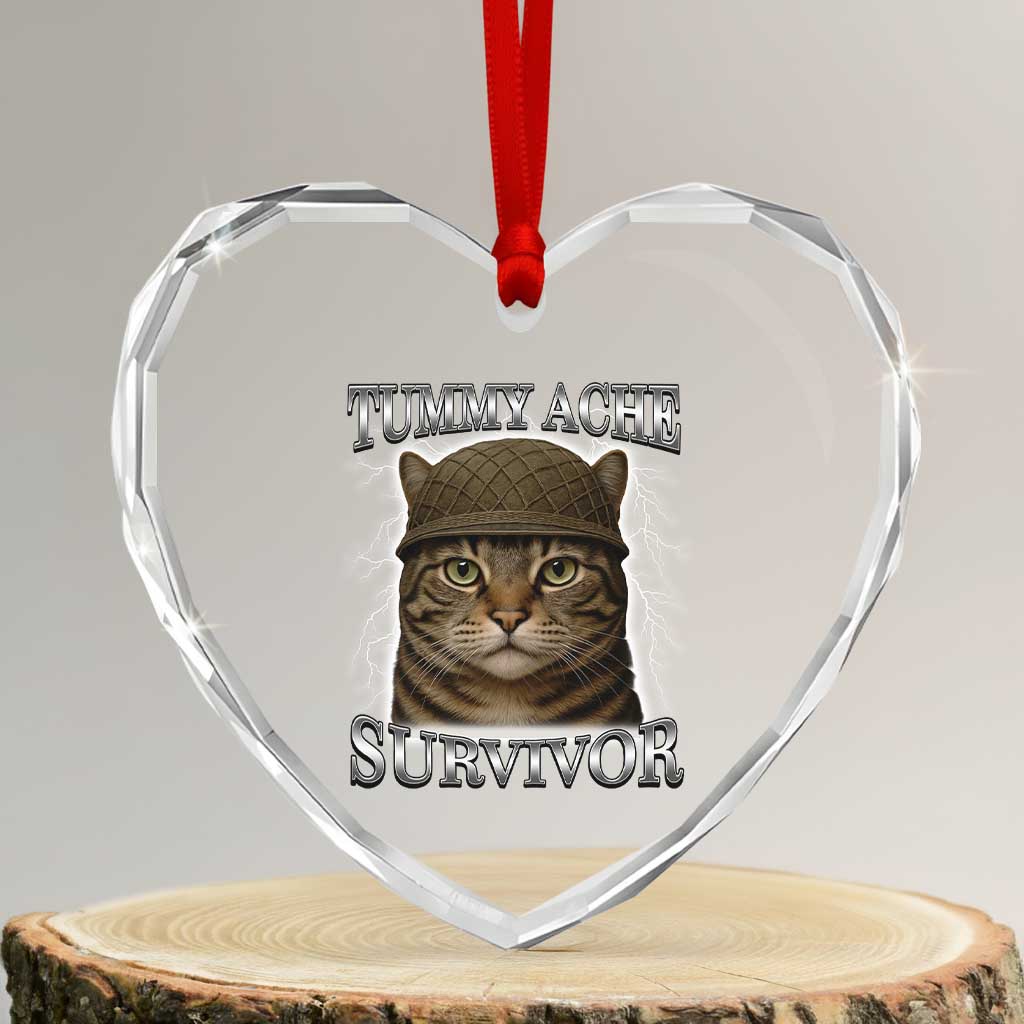 Funny Cat Meme Humor Heart Crystal Glass Ornament Tummy Ache Survivor Lightning Cats Parody - Wonder Print Shop