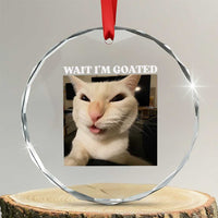 Funny Cat Meme Lover Crystal Glass Ornament