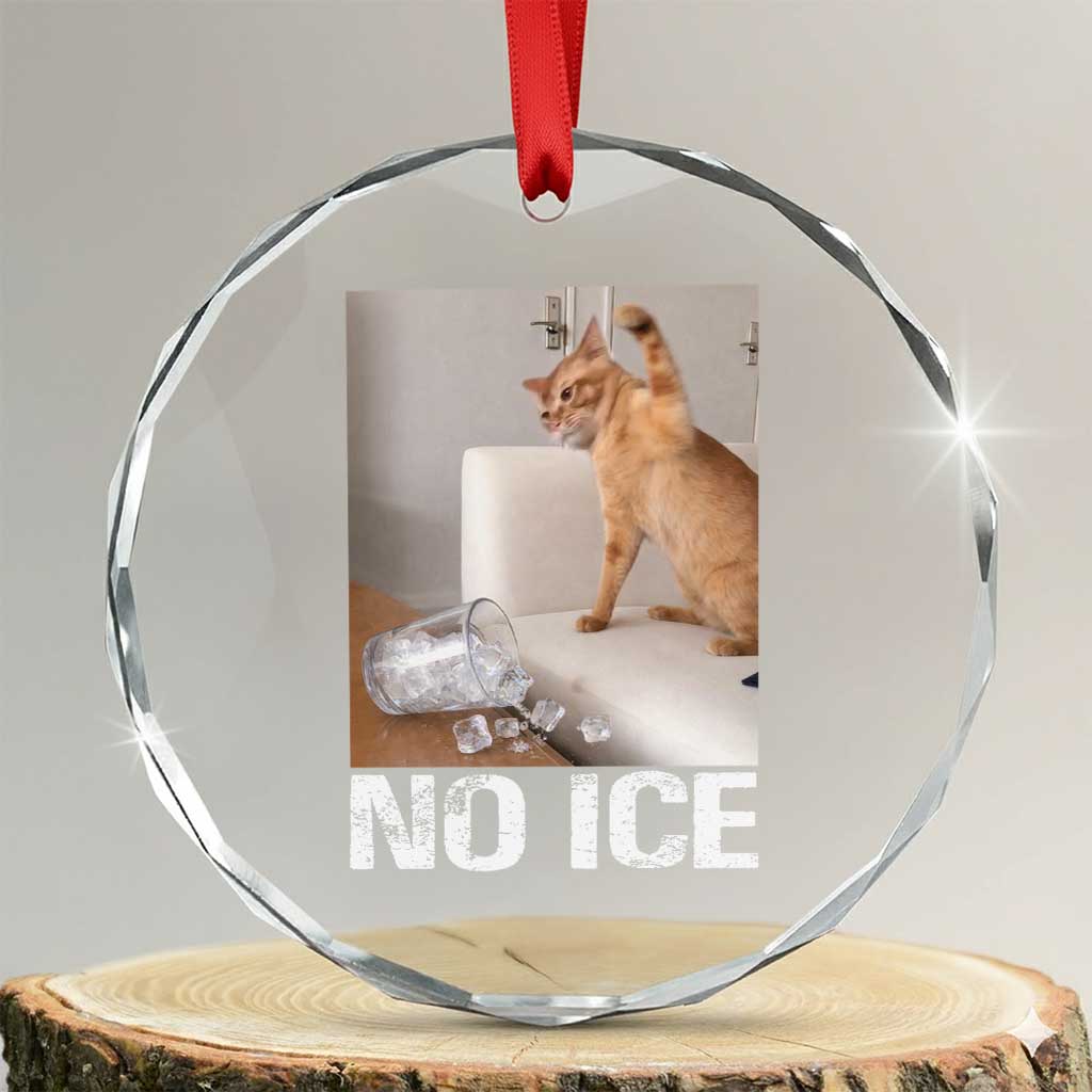 Funny Cat Meme No Ice Crystal Glass Ornament Subtle FDT Political Satire Satirical Humor