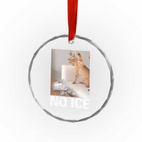 Funny Cat Meme No Ice Crystal Glass Ornament Subtle FDT Political Satire Satirical Humor