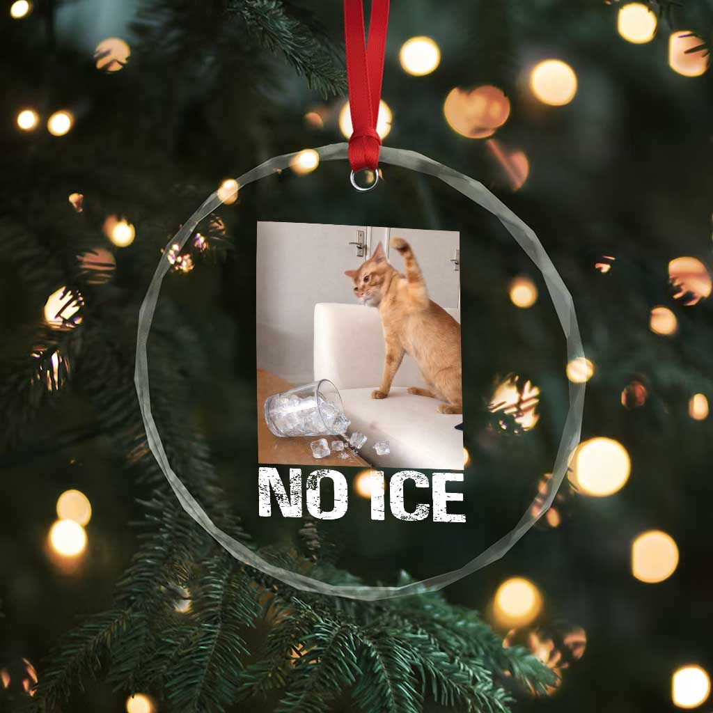 Funny Cat Meme No Ice Crystal Glass Ornament Subtle FDT Political Satire Satirical Humor