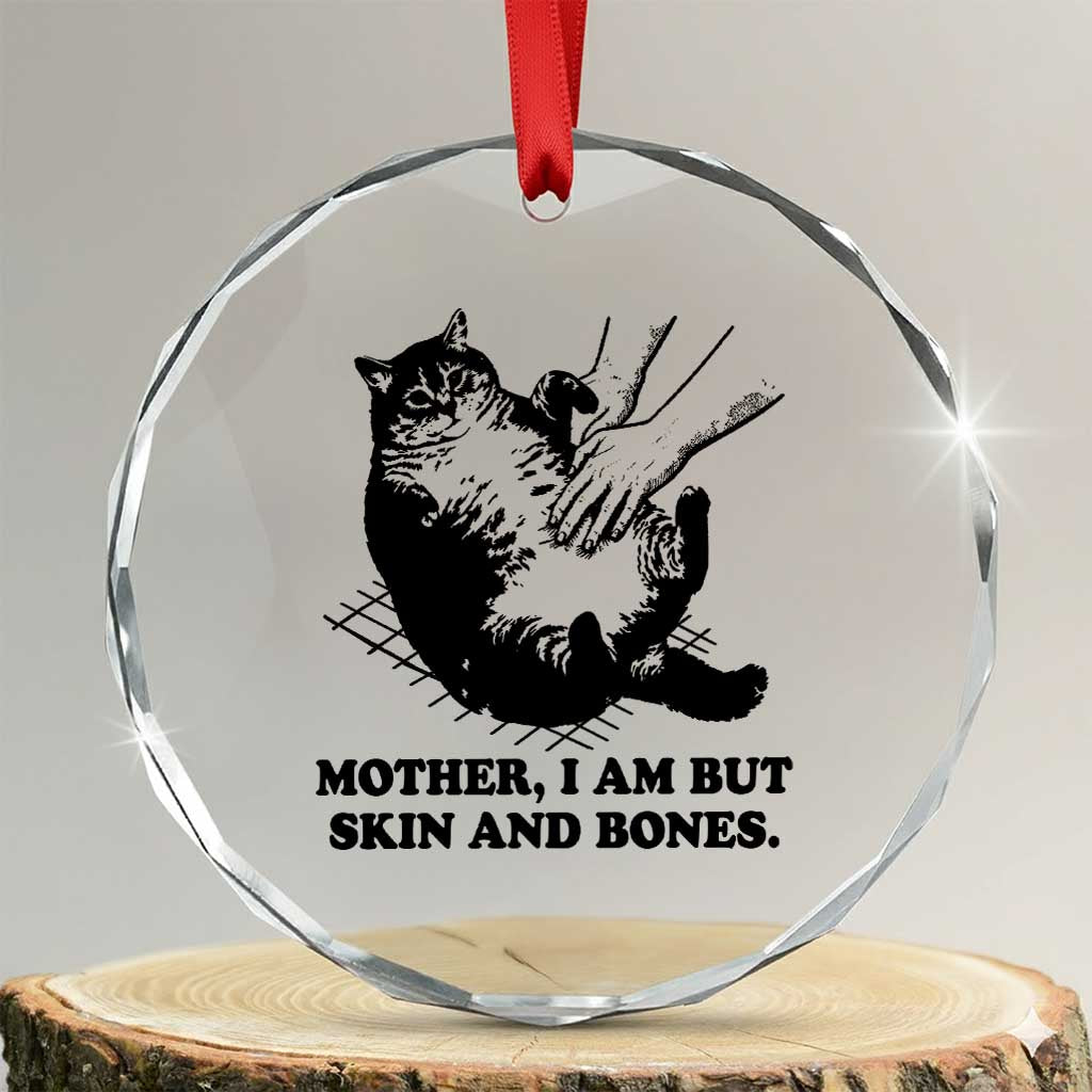 Funny Cat Mom Cat Lover Crystal Glass Ornament Mother I Am But Skin and Bones