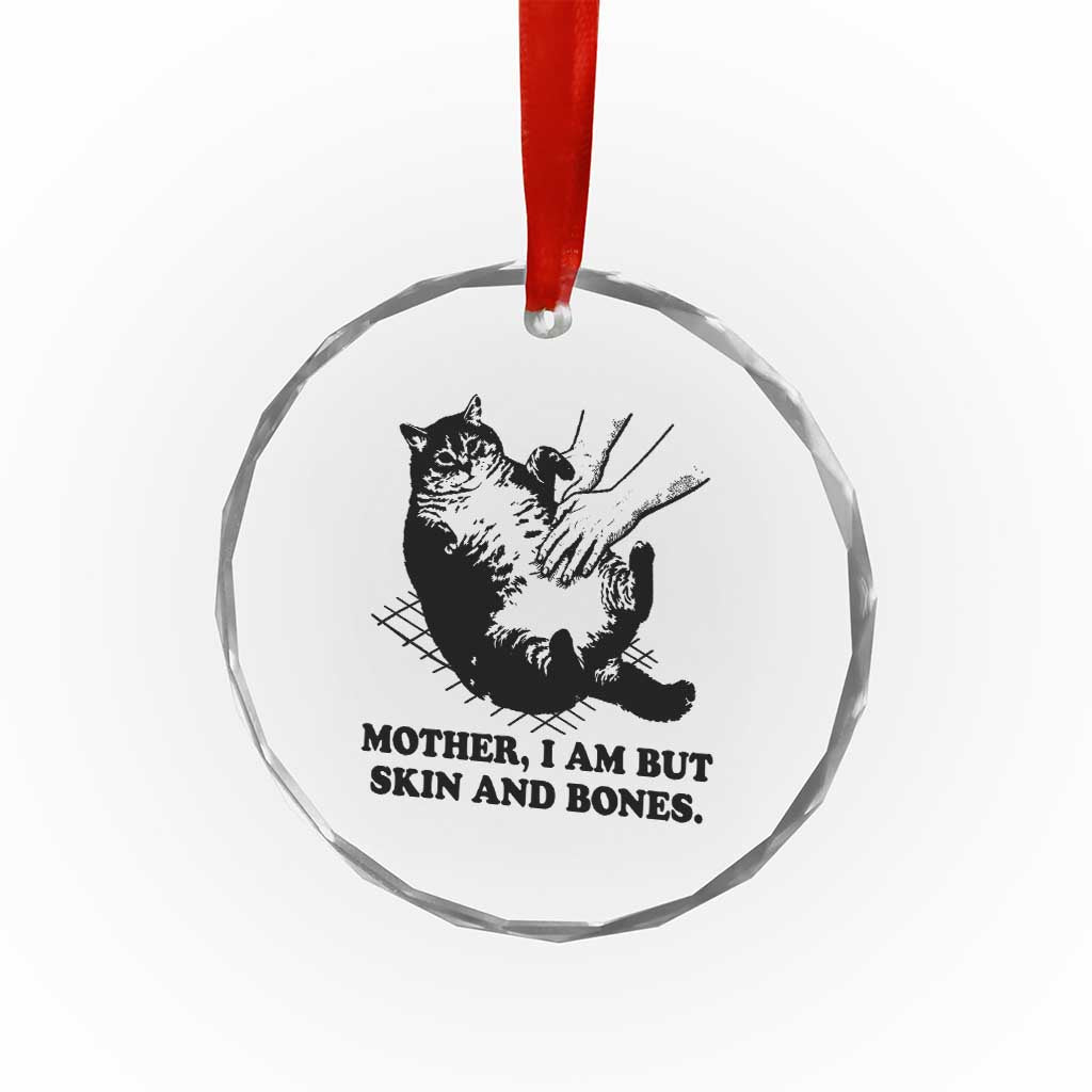 Funny Cat Mom Cat Lover Crystal Glass Ornament Mother I Am But Skin and Bones