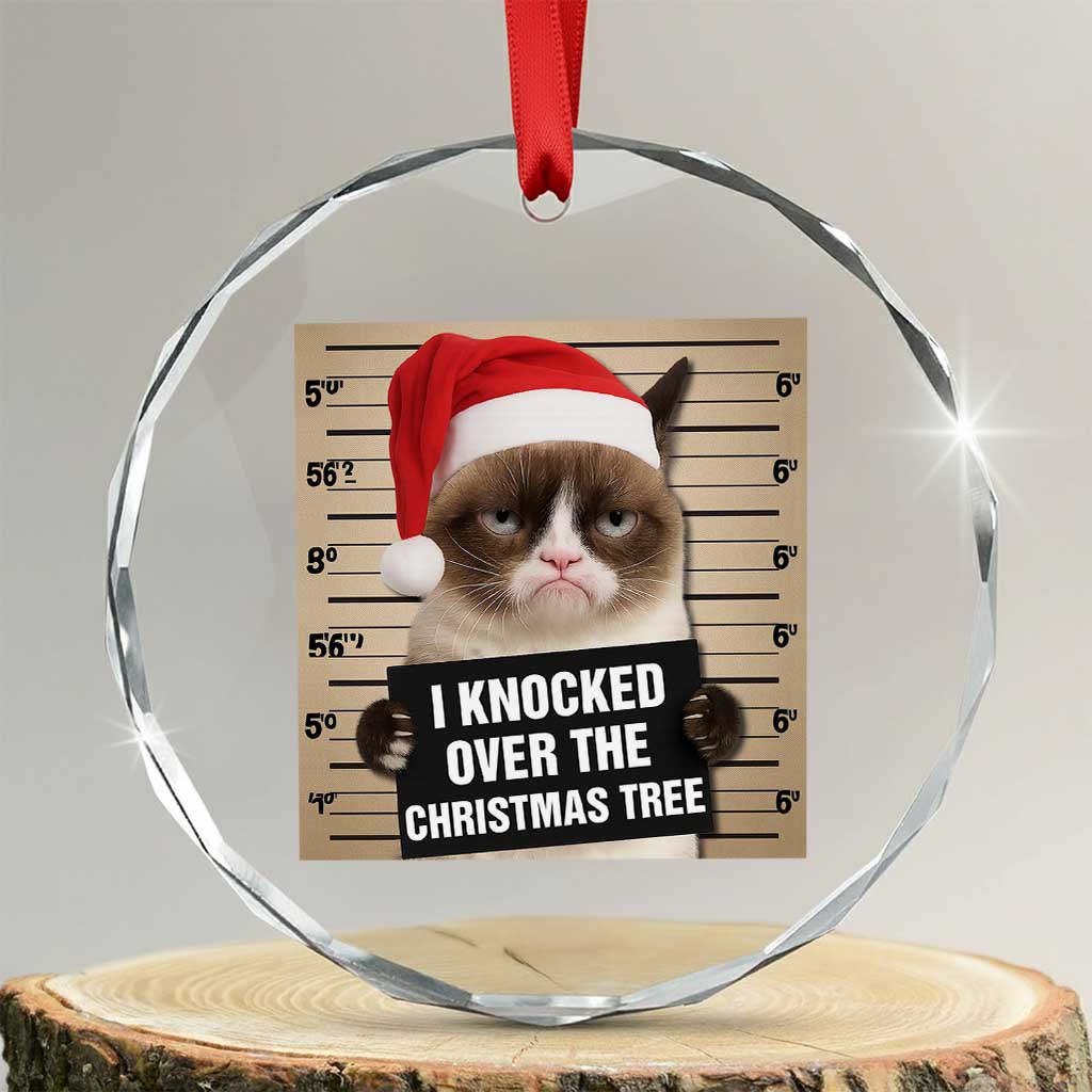 Funny Cat Mugshot Christmas Crystal Glass Ornament I Will Protect You Kitten No Matter What - Wonder Print Shop