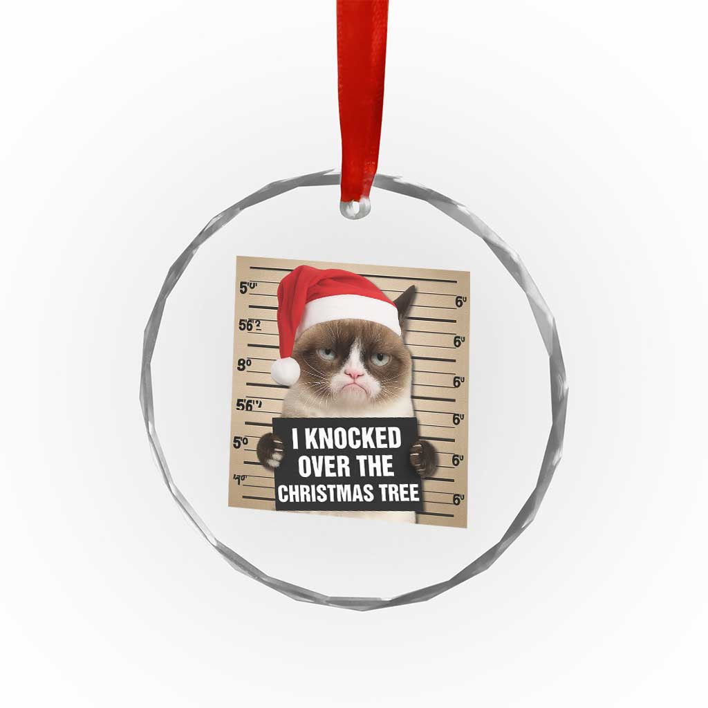 Funny Cat Mugshot Christmas Crystal Glass Ornament I Will Protect You Kitten No Matter What - Wonder Print Shop