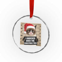 Funny Cat Mugshot Christmas Crystal Glass Ornament I Will Protect You Kitten No Matter What - Wonder Print Shop