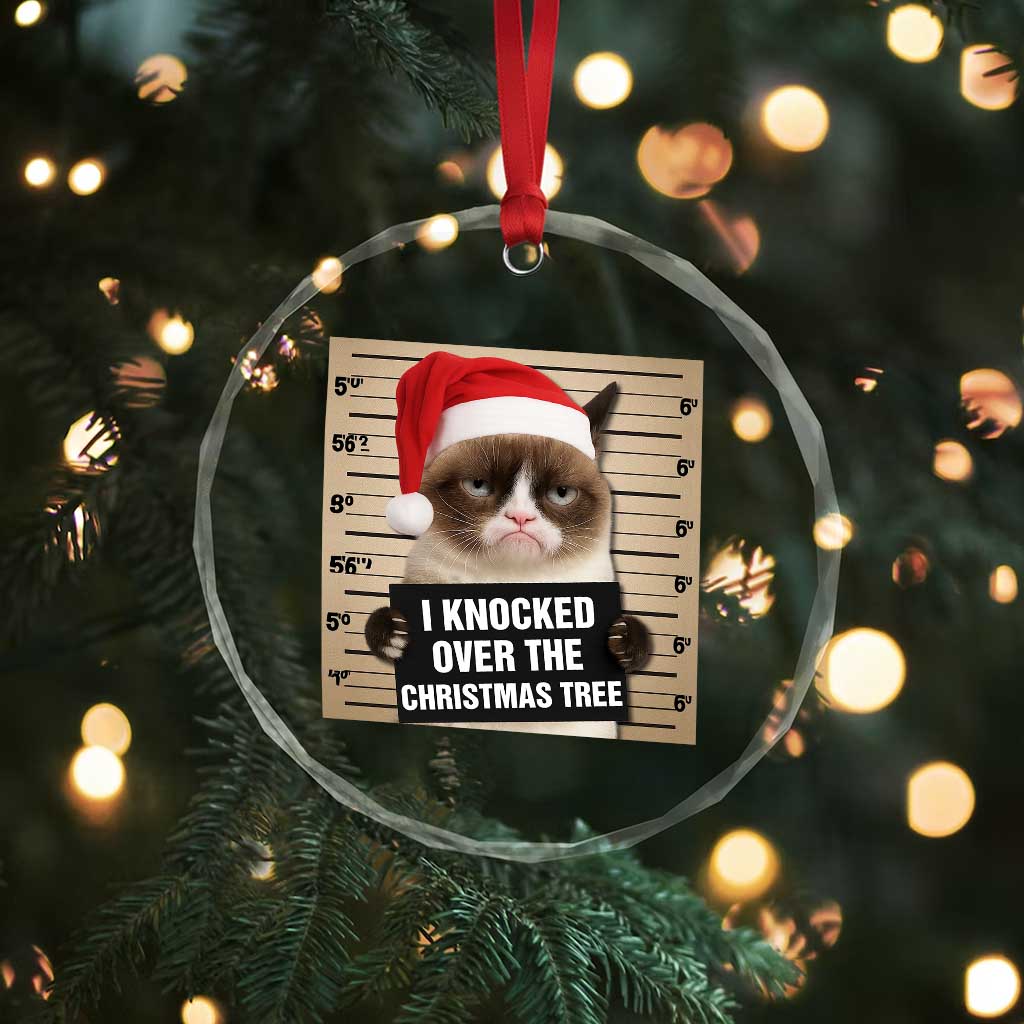 Funny Cat Mugshot Christmas Crystal Glass Ornament I Will Protect You Kitten No Matter What - Wonder Print Shop