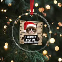 Funny Cat Mugshot Christmas Crystal Glass Ornament I Will Protect You Kitten No Matter What - Wonder Print Shop