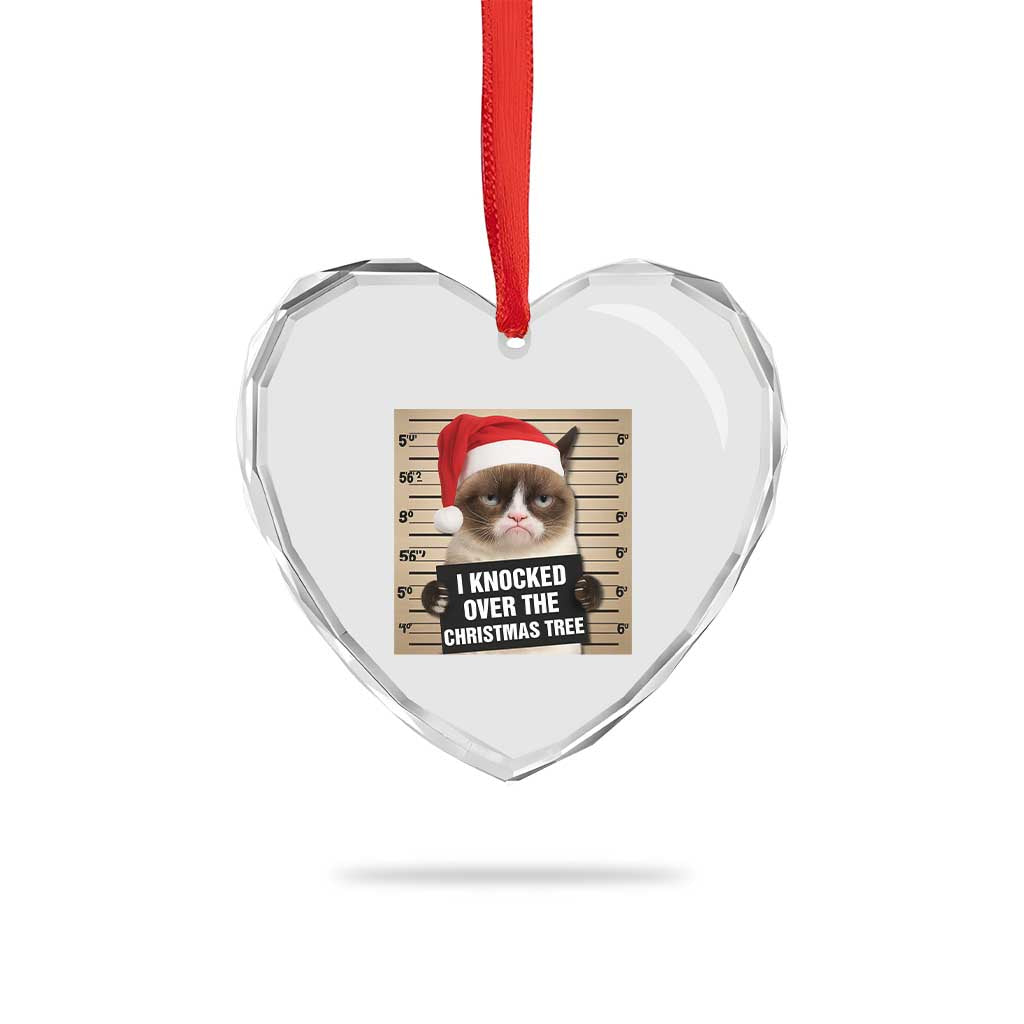 Funny Cat Mugshot Christmas Heart Crystal Glass Ornament I Will Protect You Kitten No Matter What - Wonder Print Shop