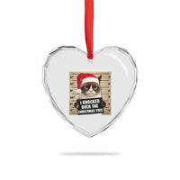 Funny Cat Mugshot Christmas Heart Crystal Glass Ornament I Will Protect You Kitten No Matter What - Wonder Print Shop
