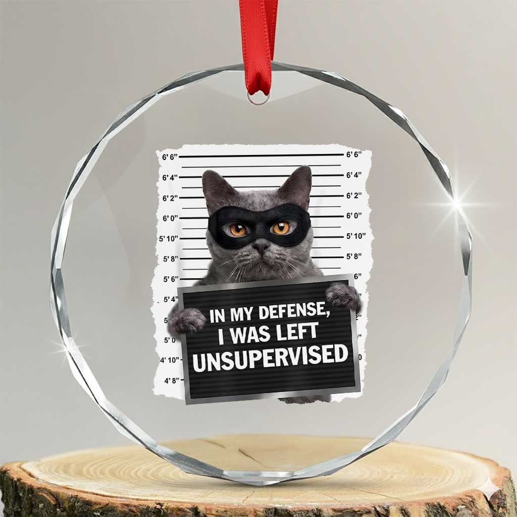 Funny Cat Mugshot Crystal Glass Ornament In My Defense I Was Left Unsupervised