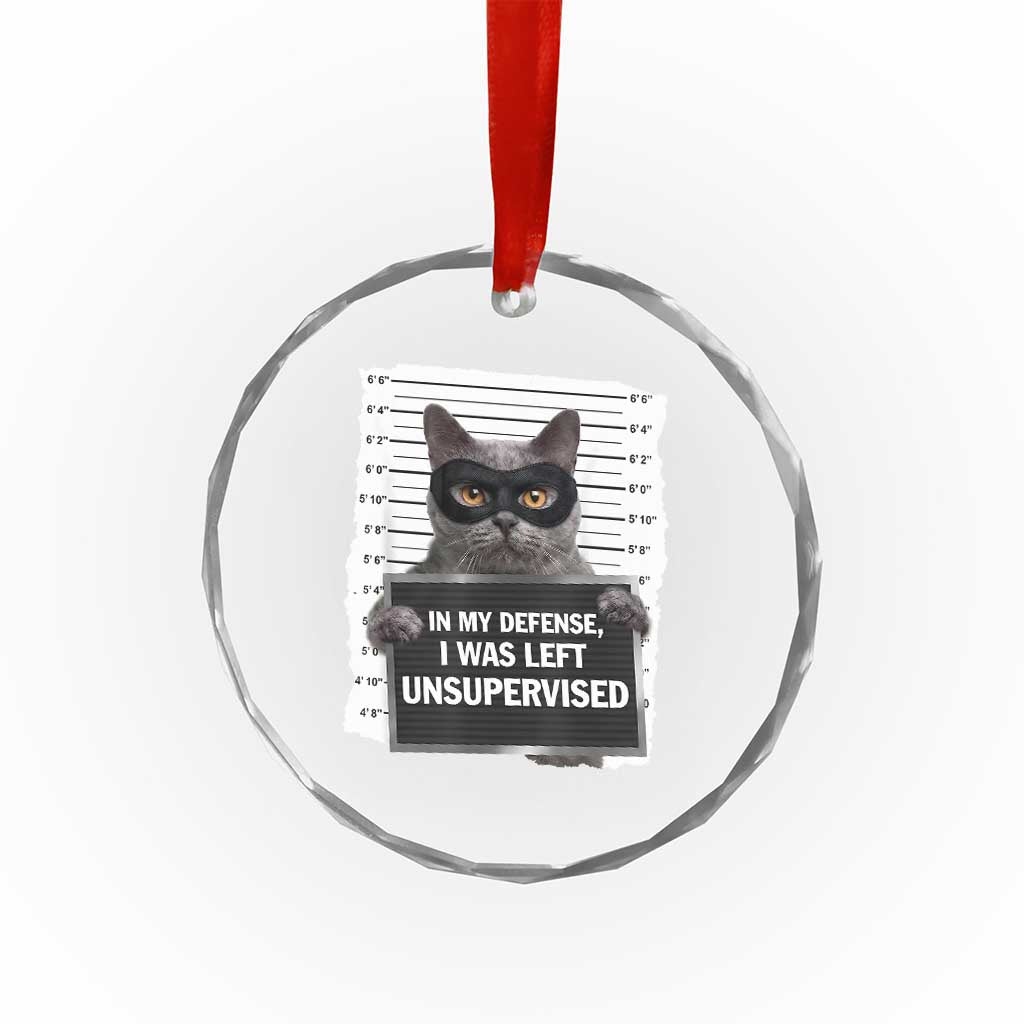 Funny Cat Mugshot Crystal Glass Ornament In My Defense I Was Left Unsupervised