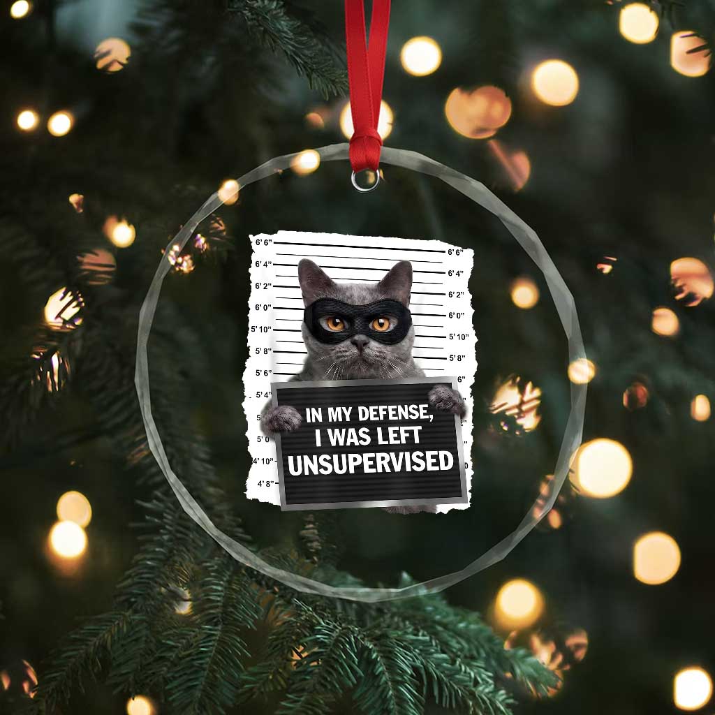 Funny Cat Mugshot Crystal Glass Ornament In My Defense I Was Left Unsupervised