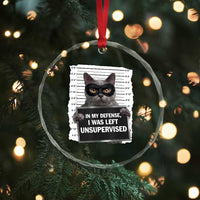 Funny Cat Mugshot Crystal Glass Ornament In My Defense I Was Left Unsupervised