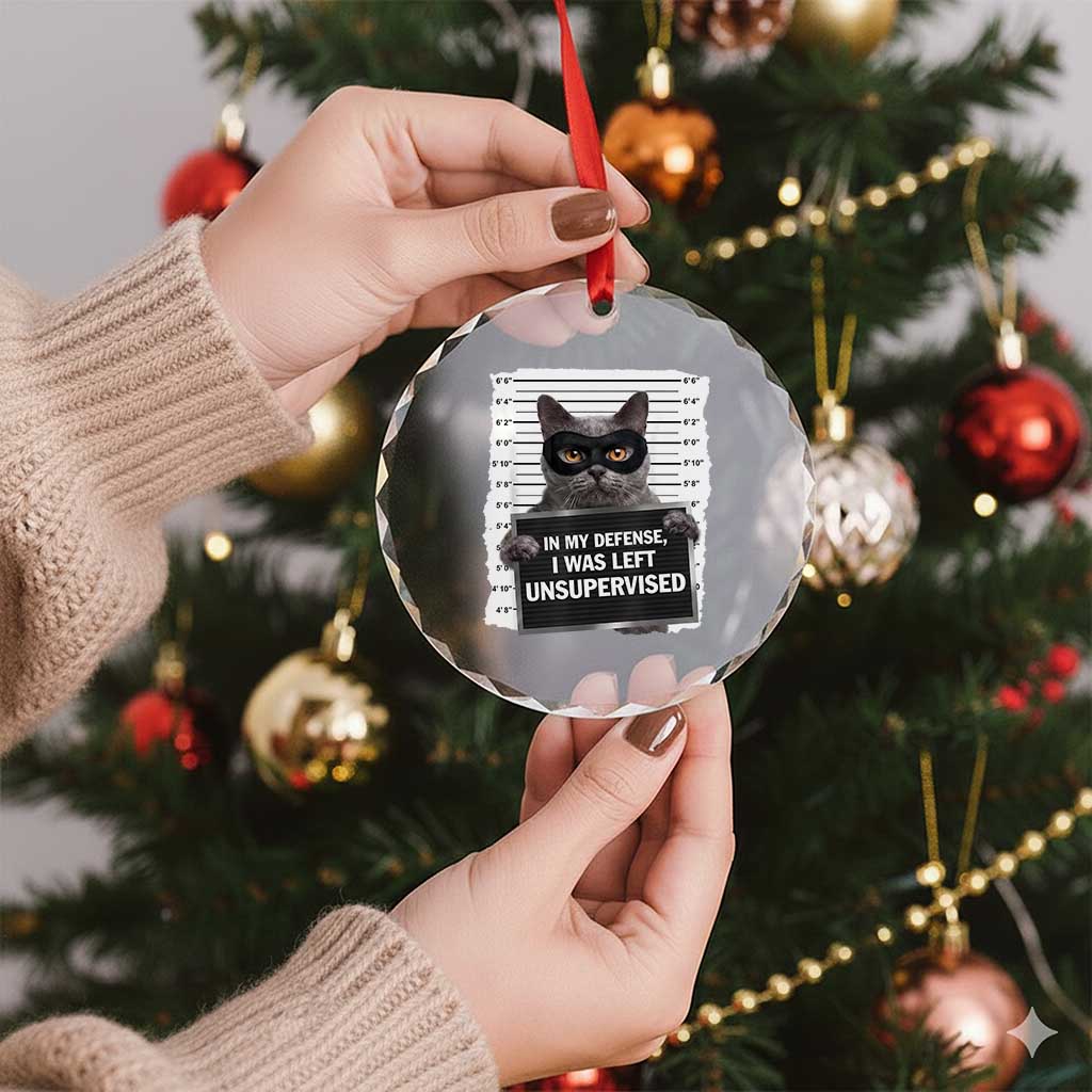Funny Cat Mugshot Crystal Glass Ornament In My Defense I Was Left Unsupervised