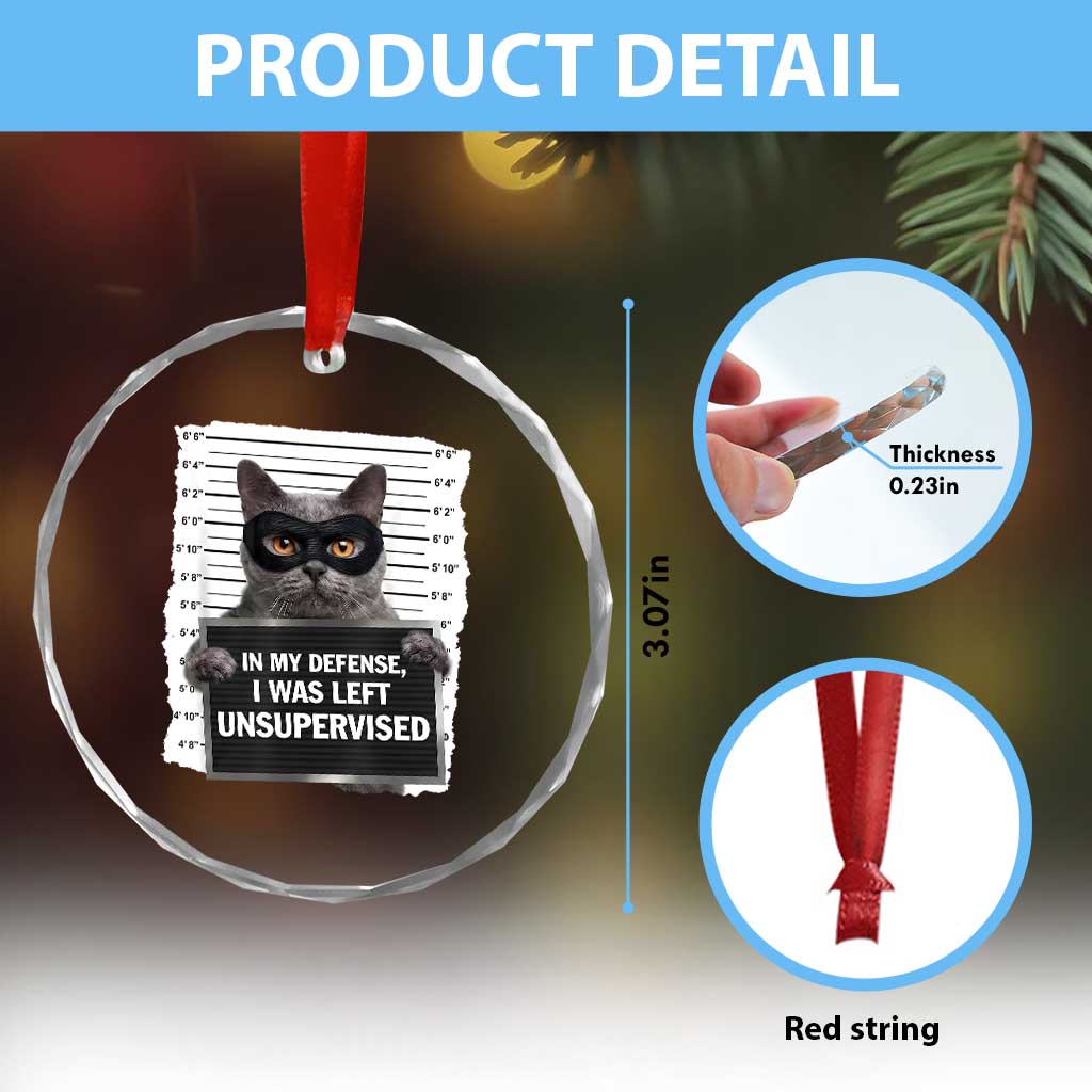 Funny Cat Mugshot Crystal Glass Ornament In My Defense I Was Left Unsupervised