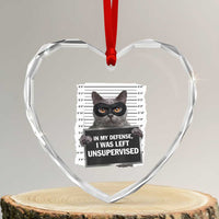 Funny Cat Mugshot Heart Crystal Glass Ornament In My Defense I Was Left Unsupervised