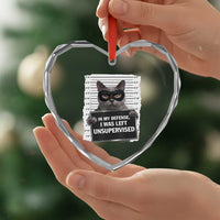 Funny Cat Mugshot Heart Crystal Glass Ornament In My Defense I Was Left Unsupervised