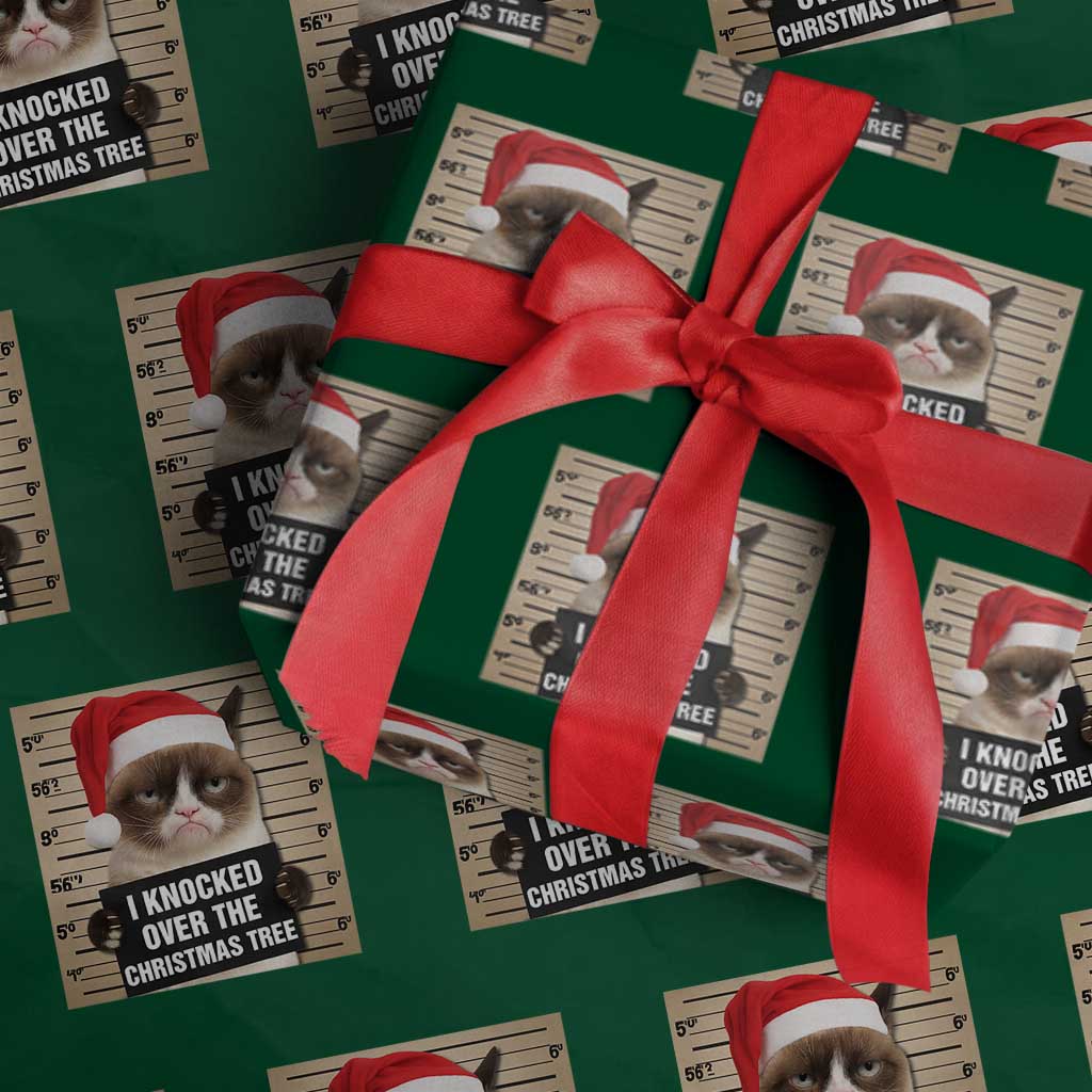 Funny Cat Mugshot Xmas Wrapping Paper Roll I Will Protect You Kitten No Matter What - Wonder Print Shop