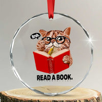 Funny Cat Reading Crystal Glass Ornament Book Lover - Wonder Print Shop