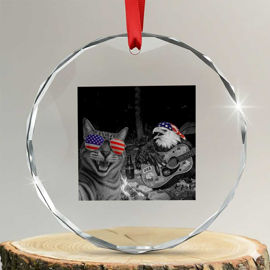 Funny Cat Selfie 4th of July Crystal Glass Ornament Patriotic Eagle American Flag Gift
