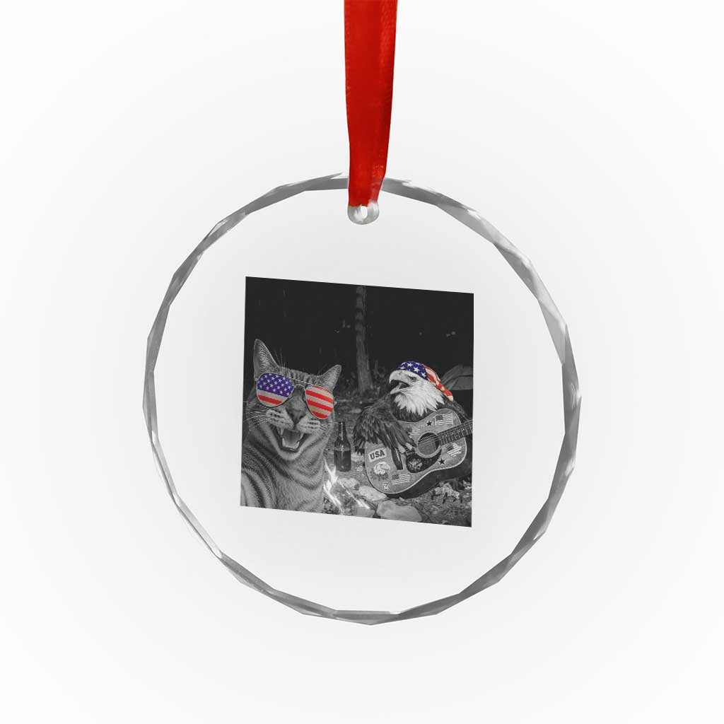 Funny Cat Selfie 4th of July Crystal Glass Ornament Patriotic Eagle American Flag Gift