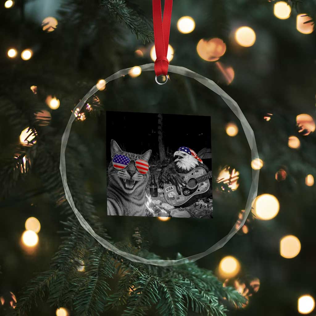 Funny Cat Selfie 4th of July Crystal Glass Ornament Patriotic Eagle American Flag Gift