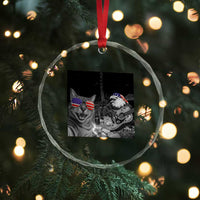 Funny Cat Selfie 4th of July Crystal Glass Ornament Patriotic Eagle American Flag Gift