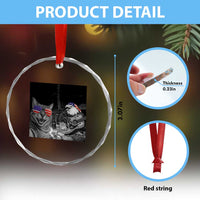 Funny Cat Selfie 4th of July Crystal Glass Ornament Patriotic Eagle American Flag Gift