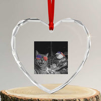 Funny Cat Selfie 4th of July Heart Crystal Glass Ornament Patriotic Eagle American Flag Gift