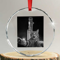 Funny Cat Selfie Lunar Mission 2026 Crystal Glass Ornament