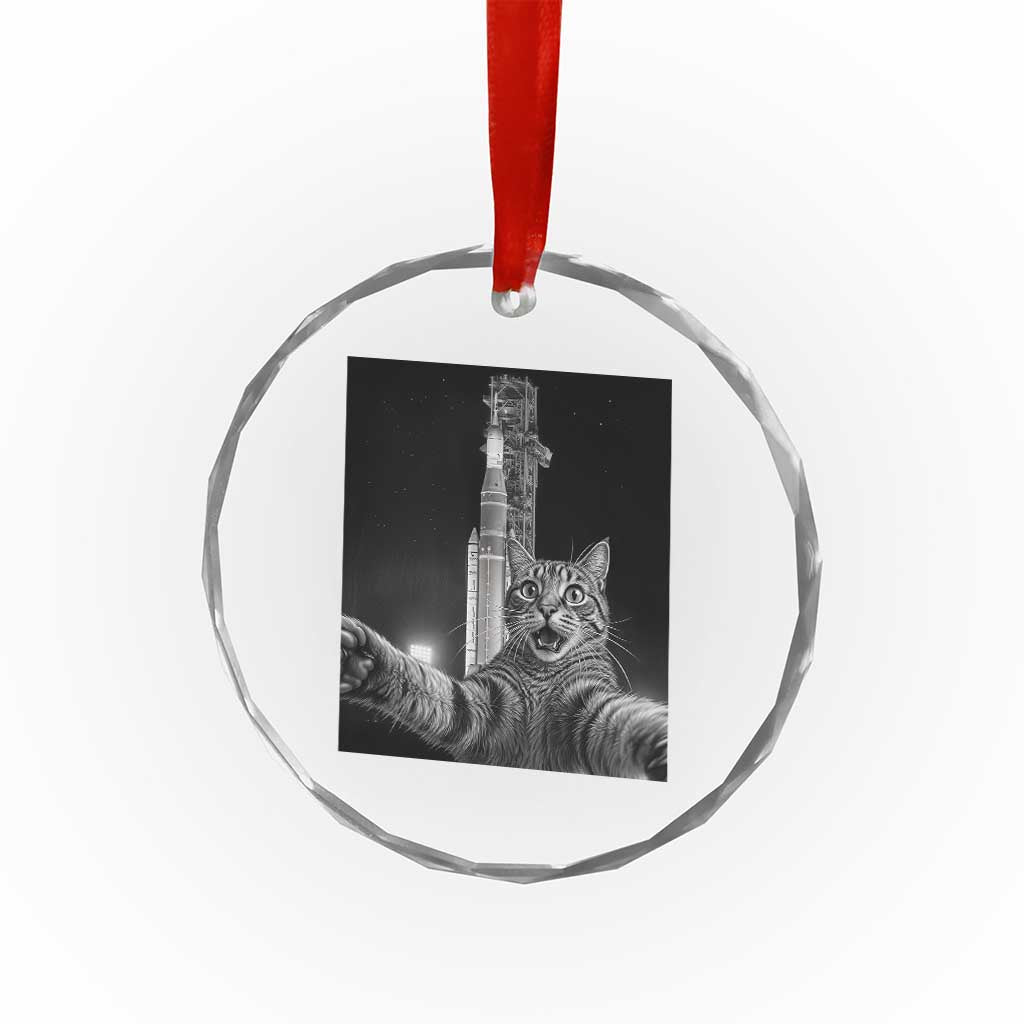 Funny Cat Selfie Lunar Mission 2026 Crystal Glass Ornament