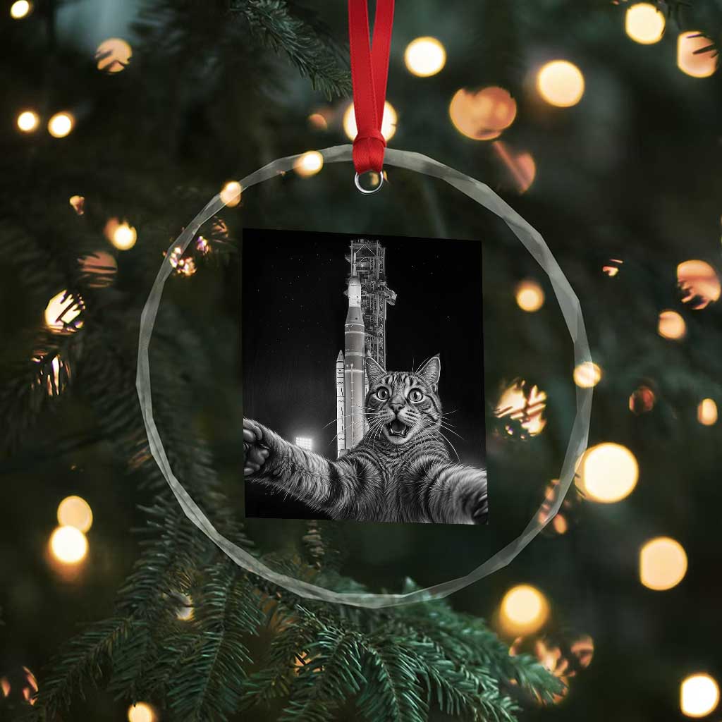 Funny Cat Selfie Lunar Mission 2026 Crystal Glass Ornament