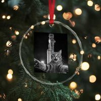Funny Cat Selfie Lunar Mission 2026 Crystal Glass Ornament