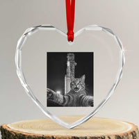 Funny Cat Selfie Lunar Mission 2026 Heart Crystal Glass Ornament