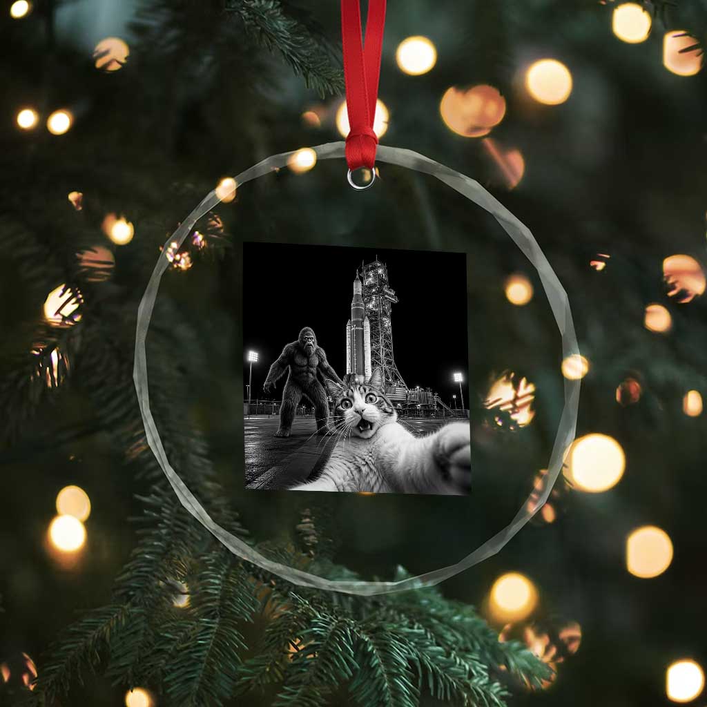 Funny Cat Selfie with Bigfoot Crystal Glass Ornament Back To The Moon Mission 2026