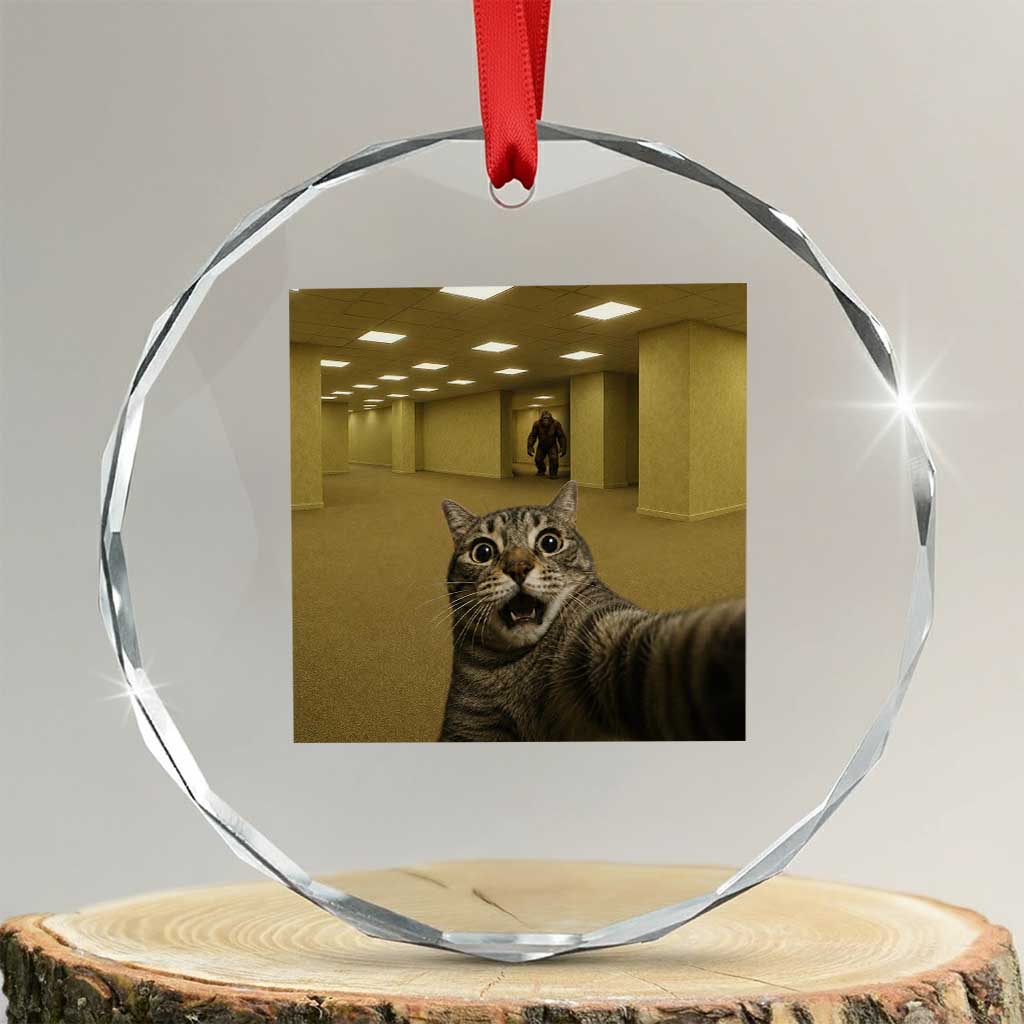Funny Cat Selfie with Bigfoot Sasquatch Backrooms Liminal Space Meme Crystal Glass Ornament
