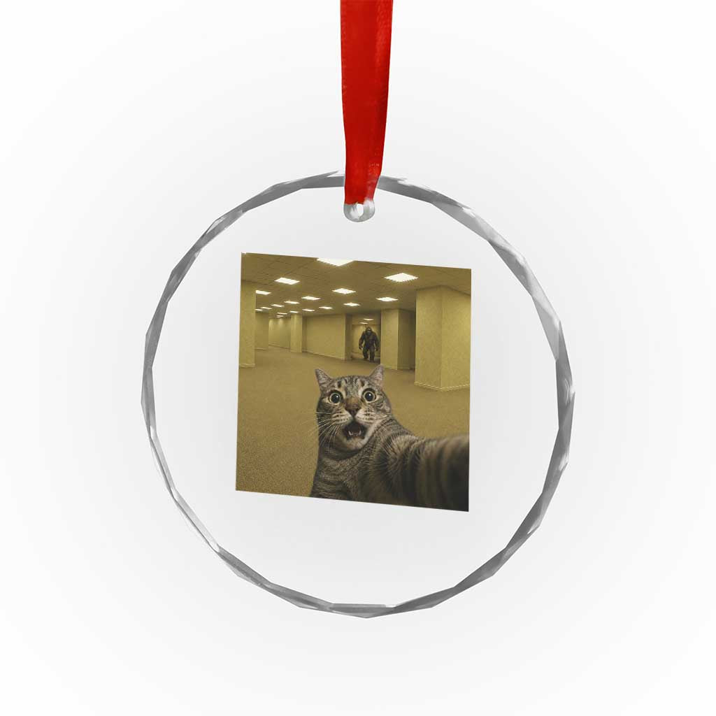 Funny Cat Selfie with Bigfoot Sasquatch Backrooms Liminal Space Meme Crystal Glass Ornament