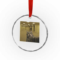 Funny Cat Selfie with Bigfoot Sasquatch Backrooms Liminal Space Meme Crystal Glass Ornament