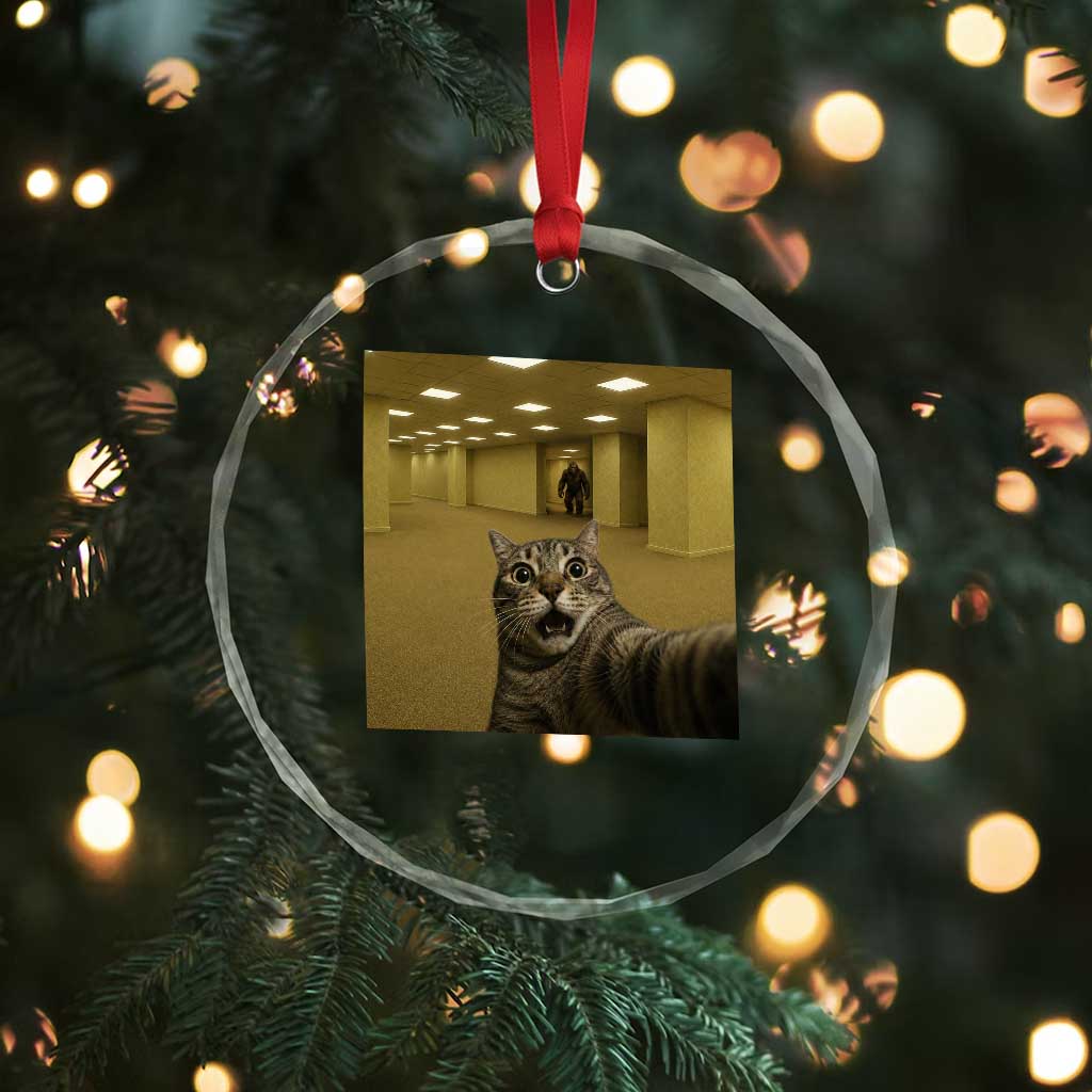 Funny Cat Selfie with Bigfoot Sasquatch Backrooms Liminal Space Meme Crystal Glass Ornament