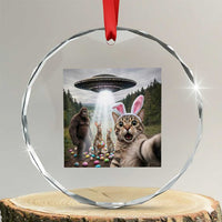 Funny Cat Selfie with Easter Bunny Bigfoot UFO Crystal Glass Ornament