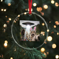 Funny Cat Selfie with Easter Bunny Bigfoot UFO Crystal Glass Ornament