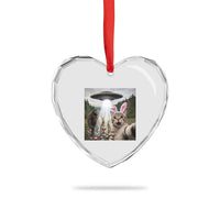 Funny Cat Selfie with Easter Bunny Bigfoot UFO Heart Crystal Glass Ornament